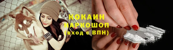 прущие грибы Дмитровск