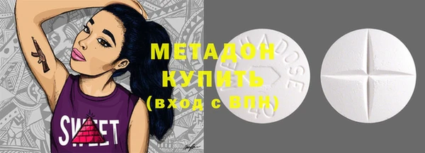 прущие грибы Дмитровск