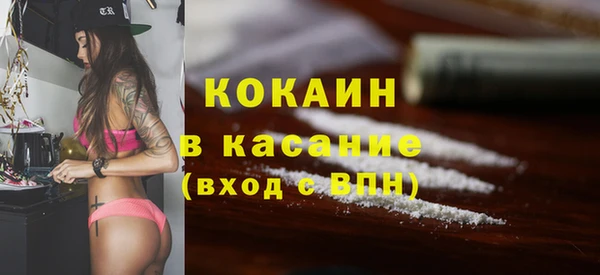 прущие грибы Дмитровск