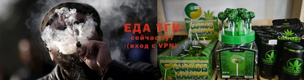 прущие грибы Дмитровск