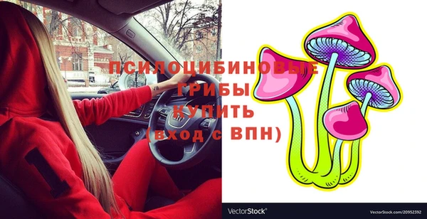 прущие грибы Дмитровск