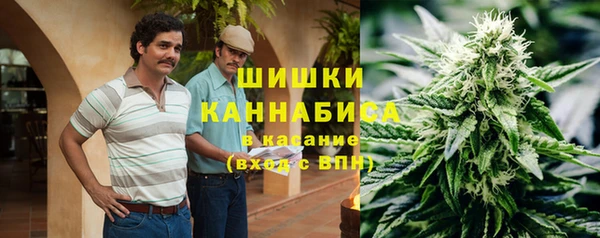 прущие крисы Дмитриев