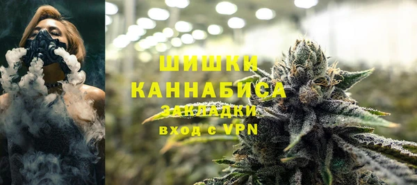 прущие крисы Дмитриев