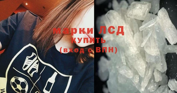 прущие грибы Дмитровск