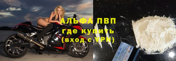 прущие грибы Дмитровск