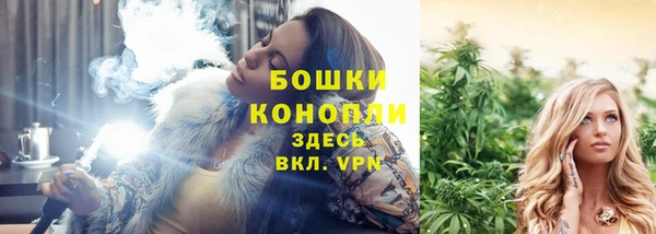прущие грибы Дмитровск